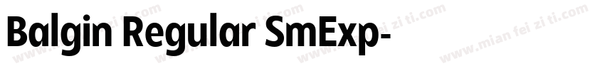 Balgin Regular SmExp字体转换